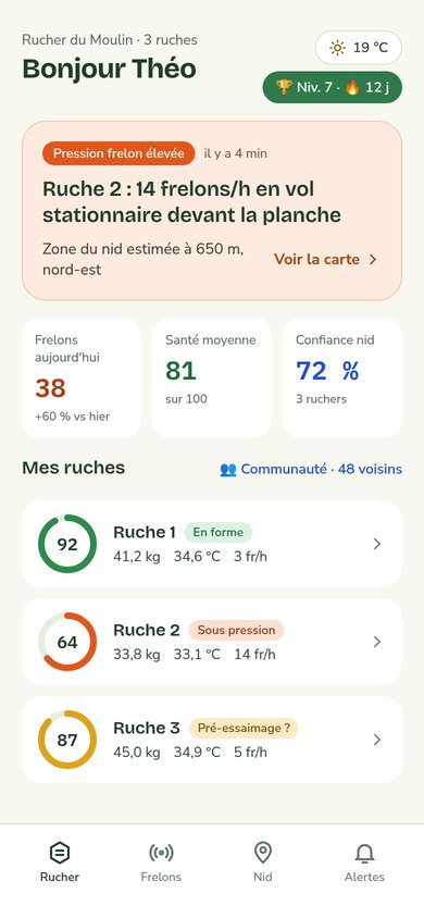 Écran d'accueil : alerte frelon et santé des trois ruches
